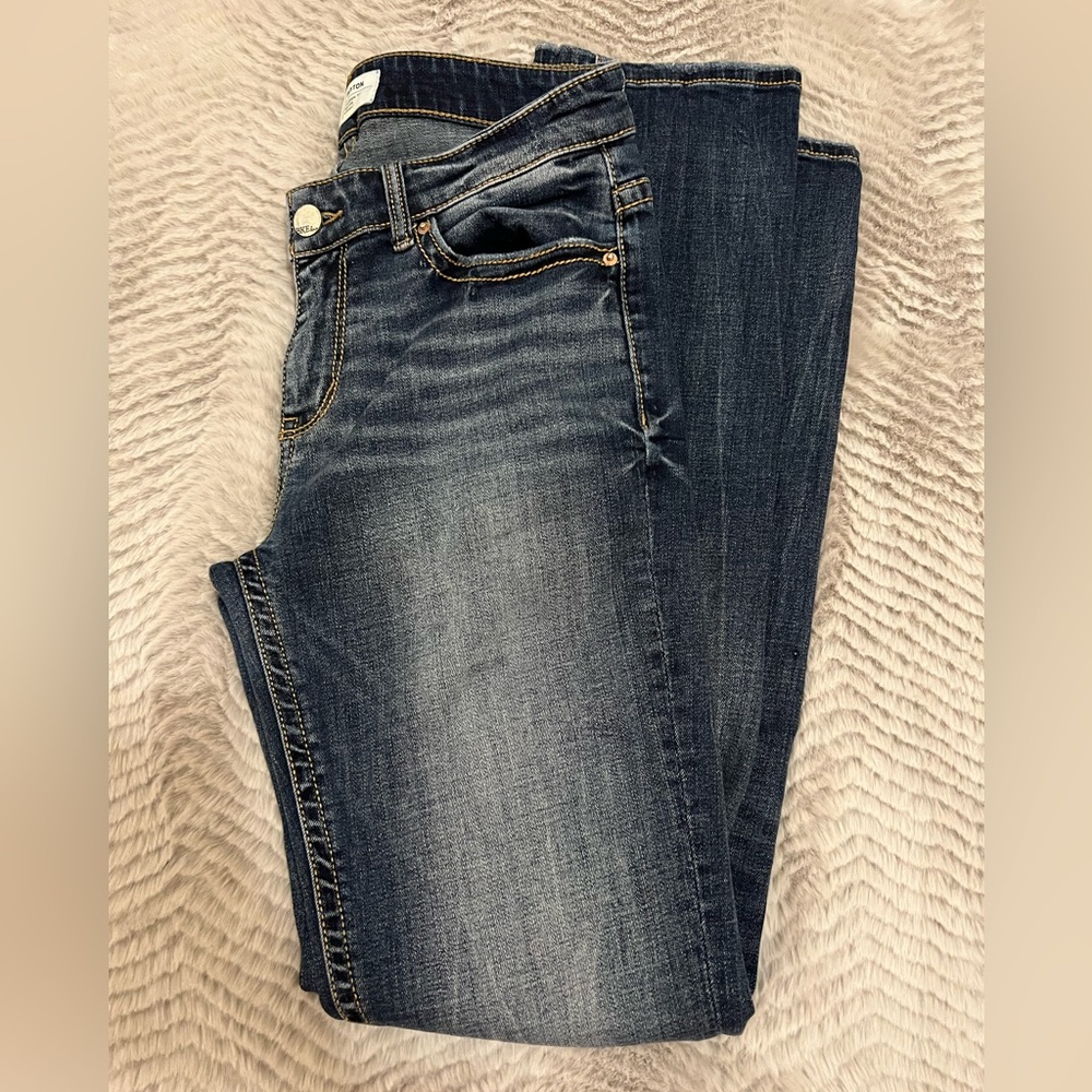 BKE Payton Jeans